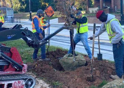 SouthernEEZ, Landscaping, Charlotte CityLynx Gold Line