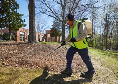 Landscape Maintenance, SouthernEEZ Landscaping