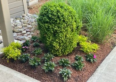 annual spring plantings, SouthernEEZ Landscaping