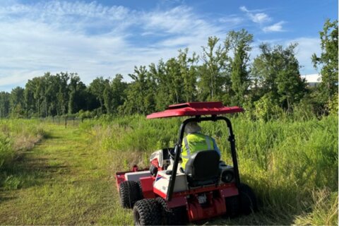 Retention Ponds, Landscape Maintenance, SouthernEEZ Landscaping