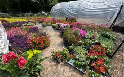 Newsletter: Spring 2025