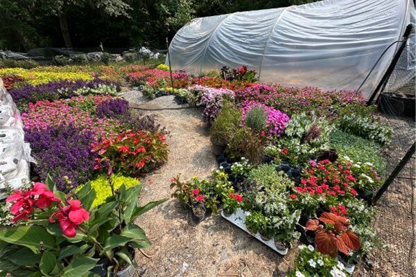 Newsletter: Spring 2025