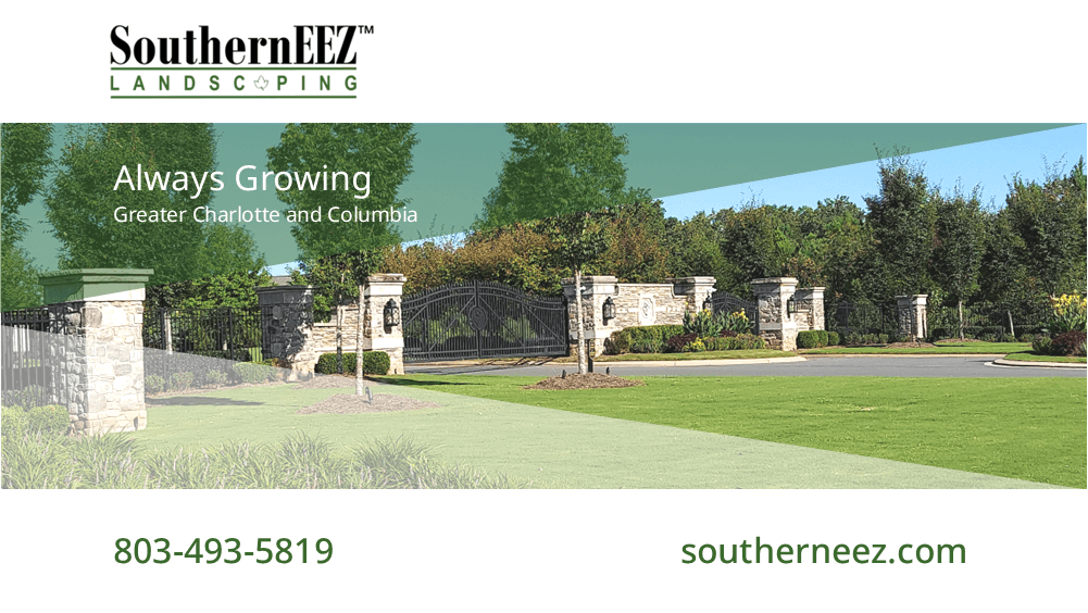 SouthernEEZ Landscaping newsletter