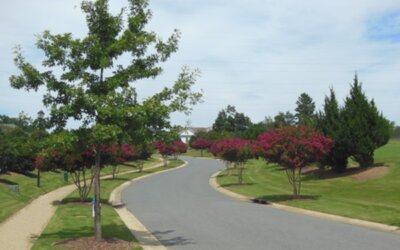 Newsletter: Fall 2025