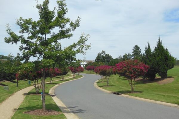 SouthernEEZ Landscaping, Homeowners Associations, Maintenance