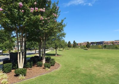 SouthernEEZ Landscaping, Homeowners Associations, Maintenance