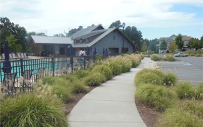 Newsletter: Winter/Spring 2026