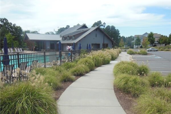 Newsletter: Winter/Spring 2026