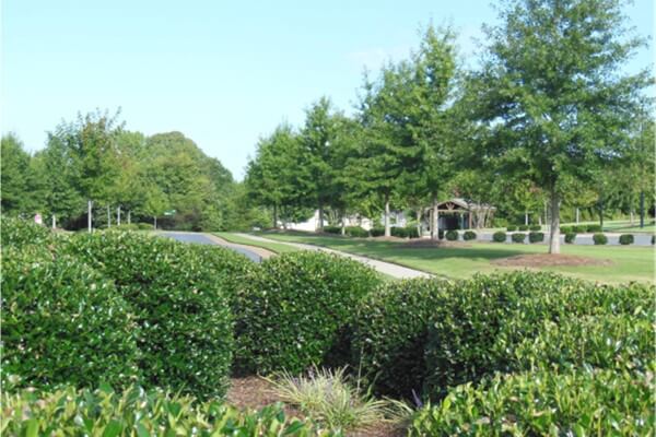 SouthernEEZ Landscaping, Homeowners Associations, Maintenance