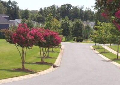 SouthernEEZ Landscaping, Homeowners Associations, Maintenance