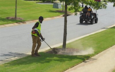 Video: Maintenance Review