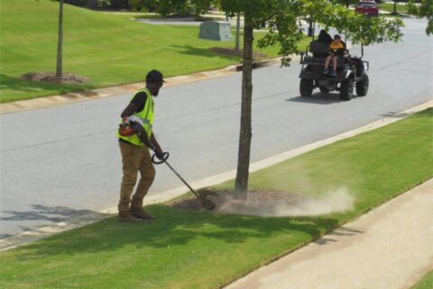 SouthernEEZ Landscaping, Homeowners Associations, Maintenance