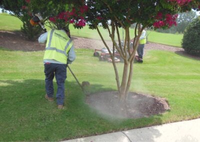 SouthernEEZ Landscaping, Homeowners Associations, Maintenance