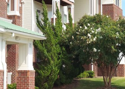 SouthernEEZ Landscaping, Multi-family, Maintenance