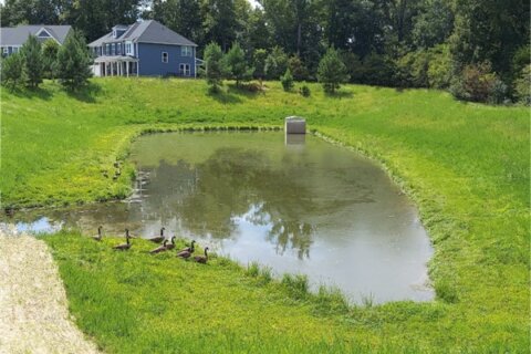 SouthernEEZ Landscaping, Homeowners Associations, Retention Ponds, Maintenance