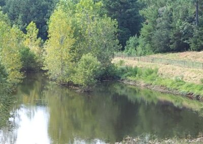 SouthernEEZ Landscaping, Homeowners Associations, Retention Ponds, Maintenance