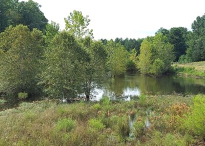 SouthernEEZ Landscaping, Homeowners Associations, Retention Ponds, Maintenance