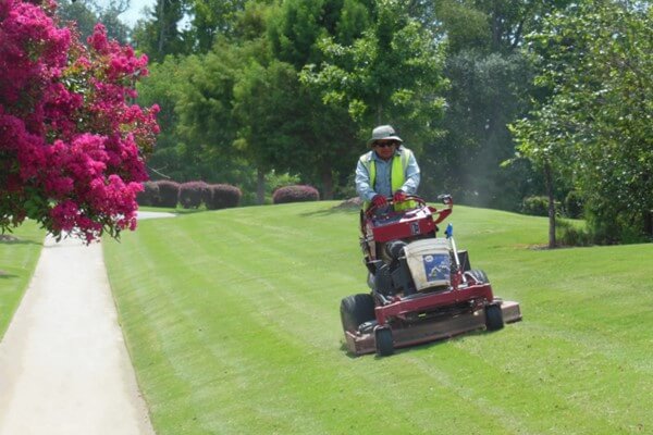 SouthernEEZ Landscaping, Homeowners Associations, Maintenance