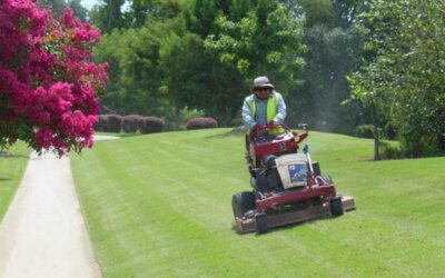 Newsletter: Summer/Fall 2025