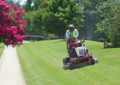 Turf Maintenance SouthernEEZ Landscaping