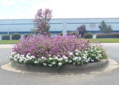 SouthernEEZ Landscaping, Warehouse, Commercial, Maintenance