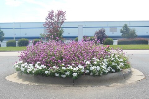 SouthernEEZ Landscaping, Warehouse, Commercial, Maintenance