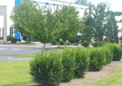 SouthernEEZ Landscaping, Warehouse, Commercial, Maintenance