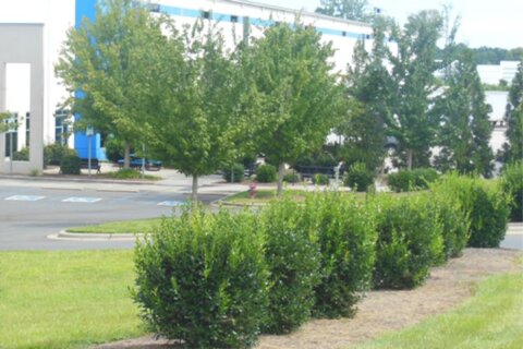 SouthernEEZ Landscaping, Warehouse, Commercial, Maintenance