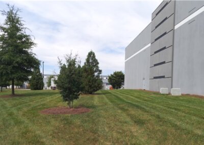 SouthernEEZ Landscaping, Warehouse, Commercial, Maintenance