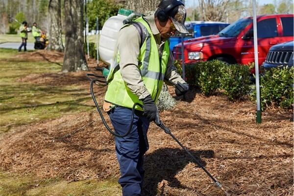 SouthernEEZ Landscaping, Warehouse, Office, Retail