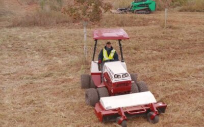 Newsletter: Holidays 2025